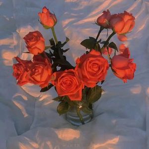 亚洲精品高清久久
